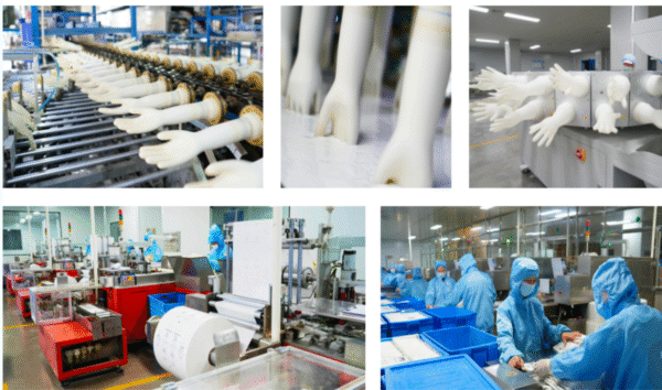 Latex Surgical Gloves Powder Free & Powdered